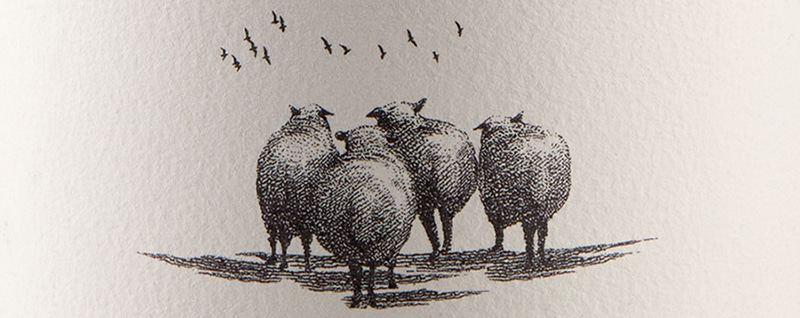 Etikett mit Zeichnung von Schafen
