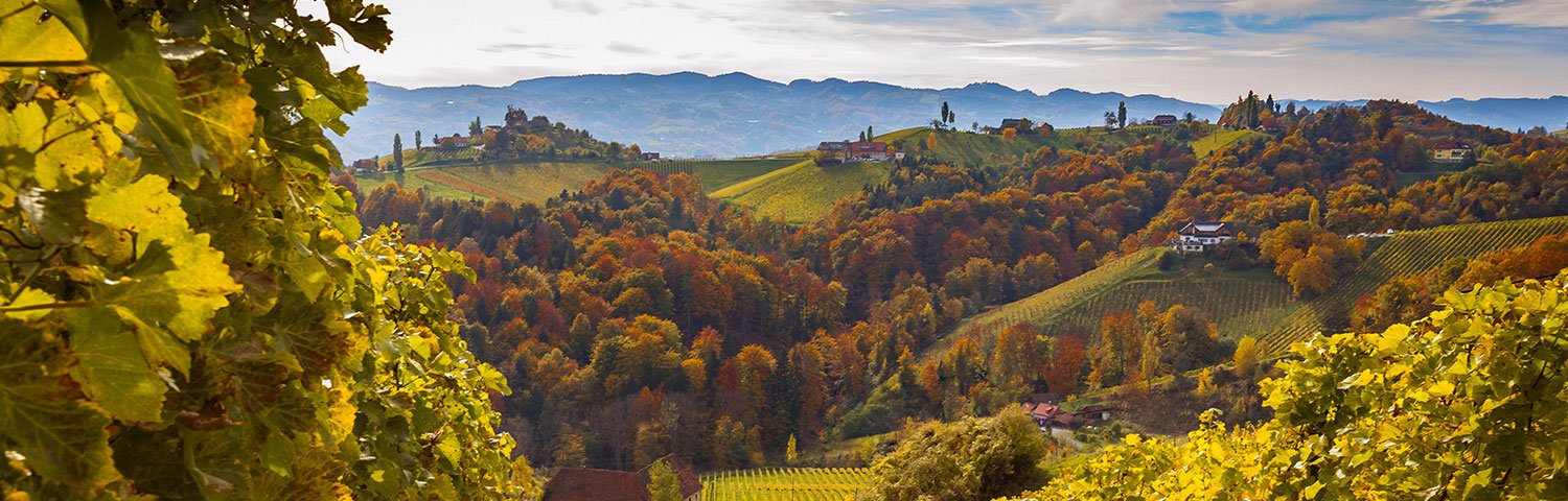 Vulkanland Weinbauregion Österreich