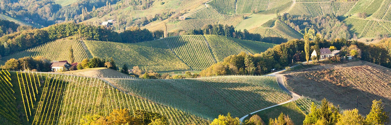 Weststeiermark Weinbauregion Österreich