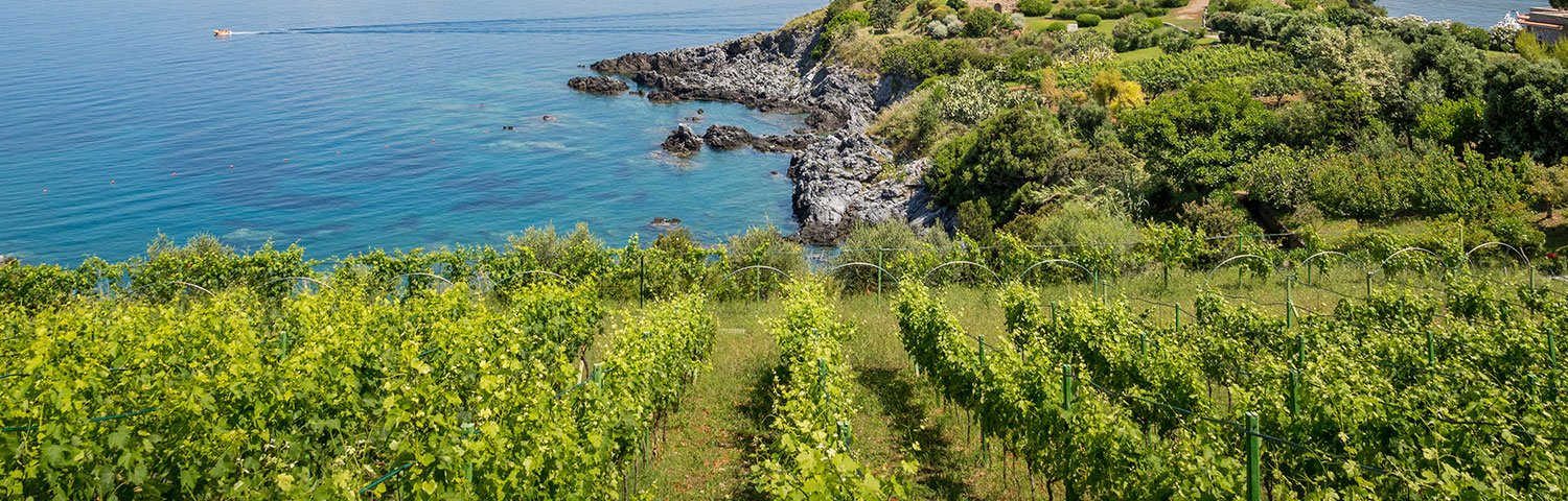 Kalabrien Weinland Italien