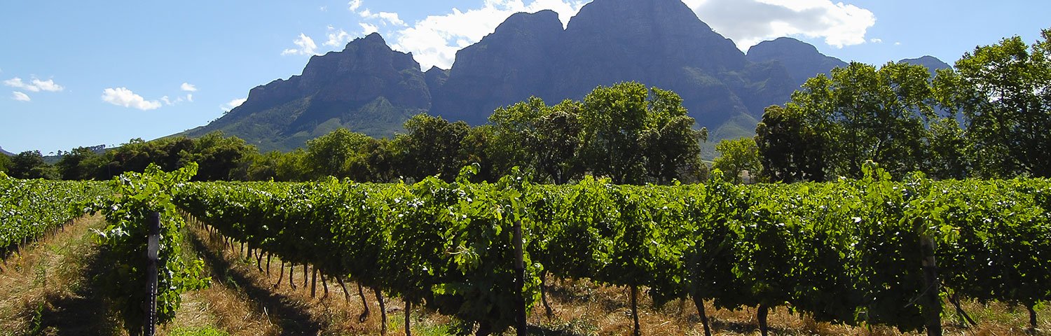 Stellenbosch Weinland Südafrika