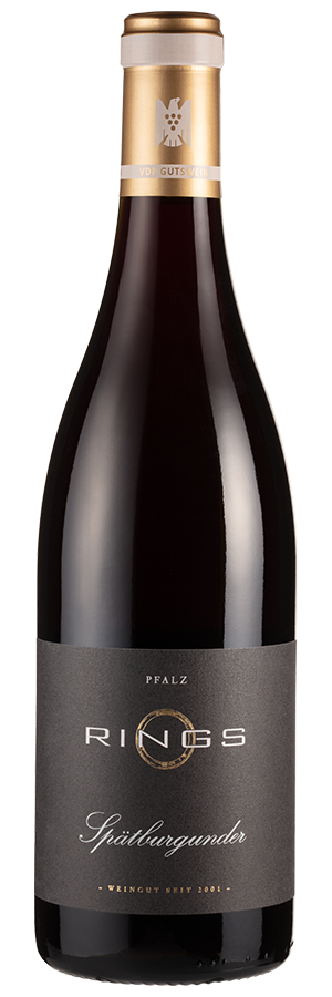 Spätburgunder trocken (Bio)