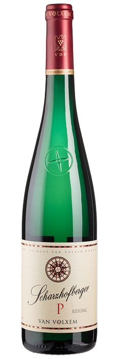 Scharzhofberger Pergentsknopp Riesling Großes Gewächs trocken