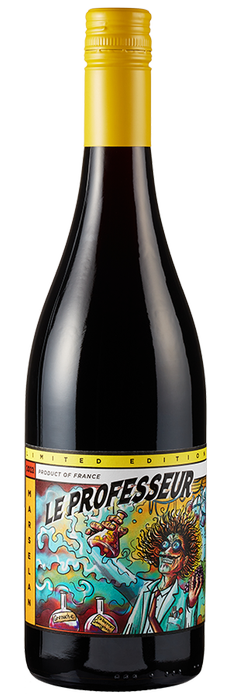 Le Professeur