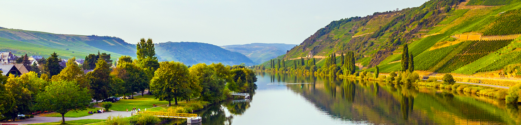 Weinregion Mosel