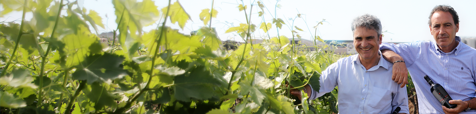 Cantina Vecchia Torre