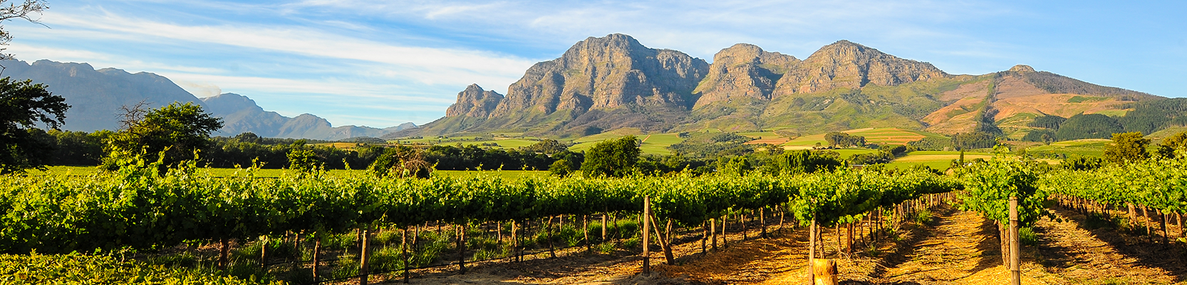 Header_Stellenbosch.png