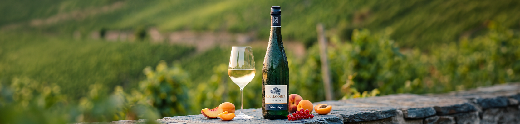 Dr. Loosen Weingut