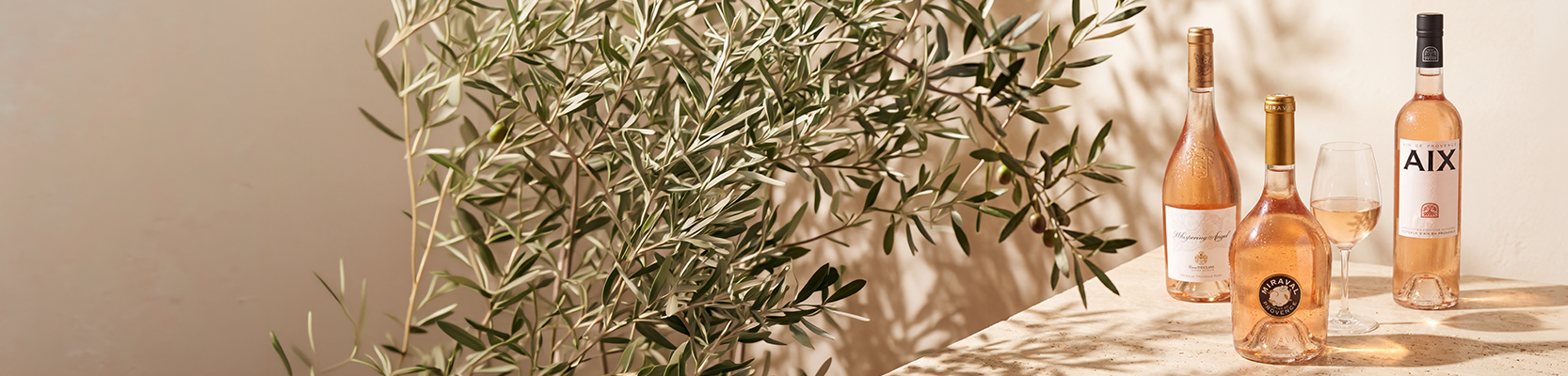 20260430_Provence_onsite_header-2-B.png