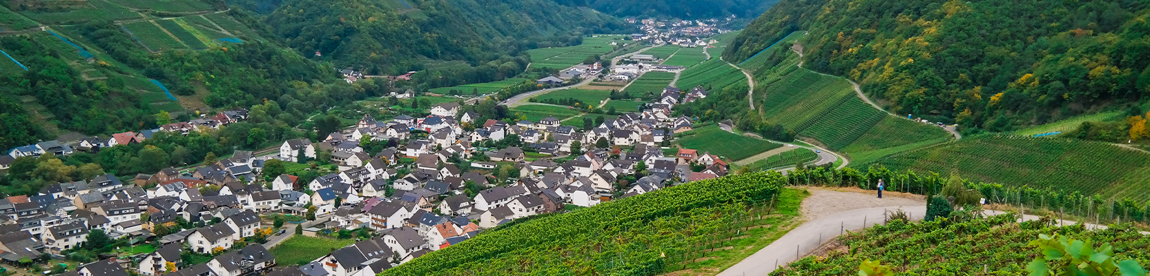 Ahrtal mit Weinberg im Vordergrund