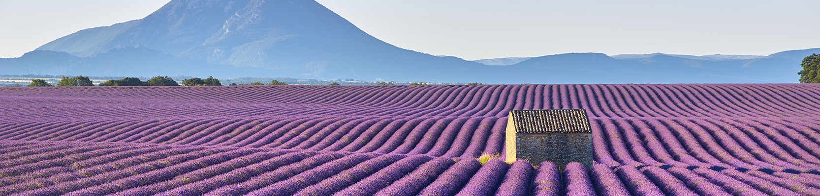 20260430_Provence_onsite_header-2.png