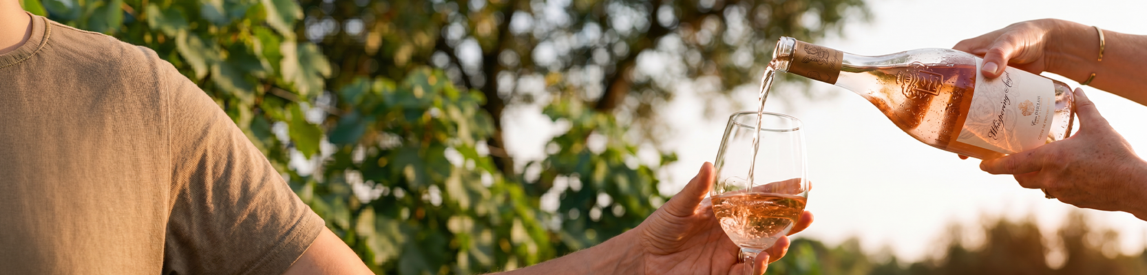 Eine Flasche Rosé Whispering Angel der vor einem Baum in ein Glas gegossen wird
