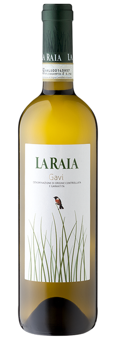 Gavi (Bio)