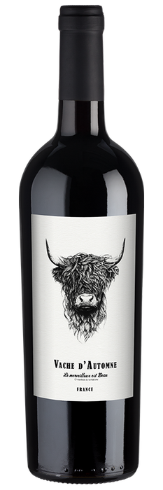Vache d’Automne