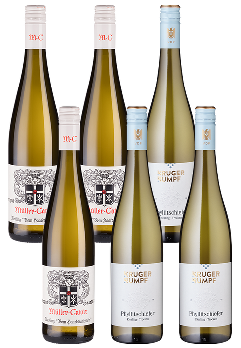 6er-Paket VDP-Riesling