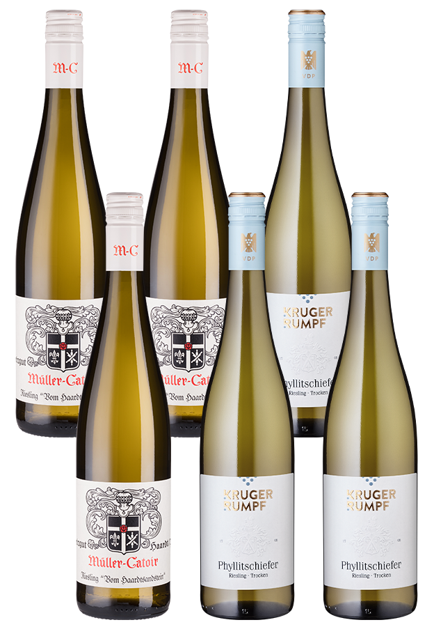 6er-Paket VDP-Riesling