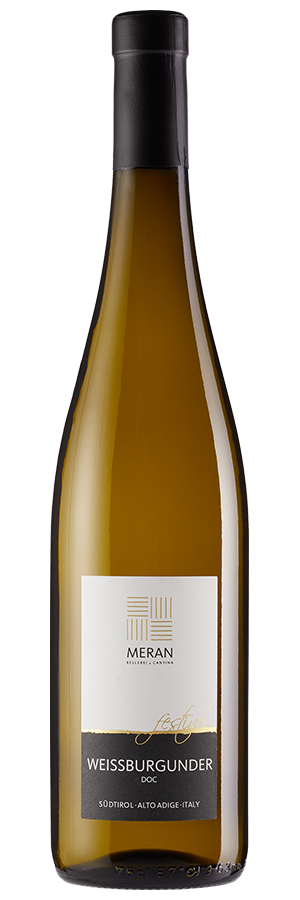 Festival Weissburgunder