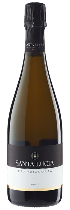 Franciacorta Brut NV (Bio)