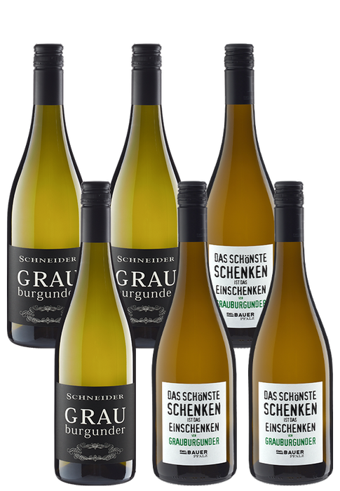 Pfälzer Winzer-Battle