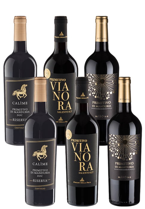 6er-Paket Primitivo-Champions