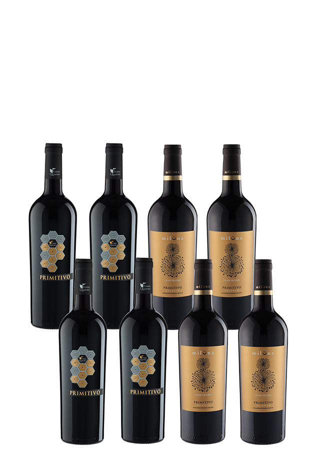 8er-Paket Primitivo Champions