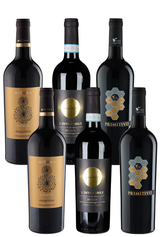 6er-Paket Primitivo Helden