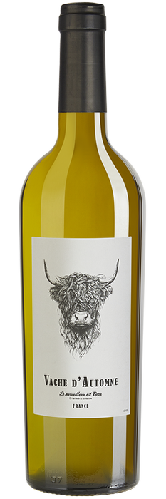 Vache d'Automne Chardonnay