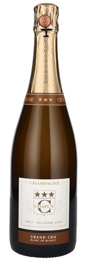 Champagner Blanc de Blancs Brut Grand Cru Millésime