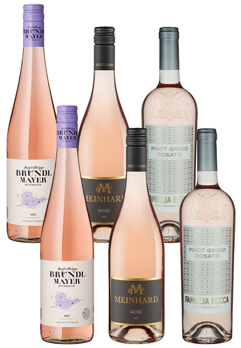 6er-Paket Rosévielfalt