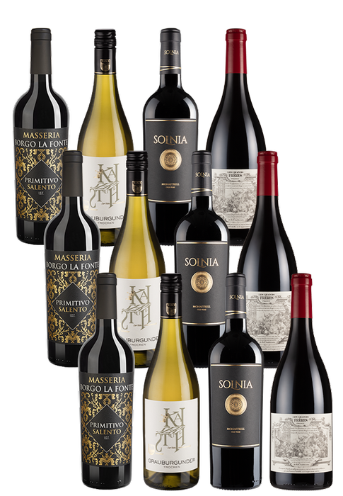 12er-Paket Weinreise durch Europa