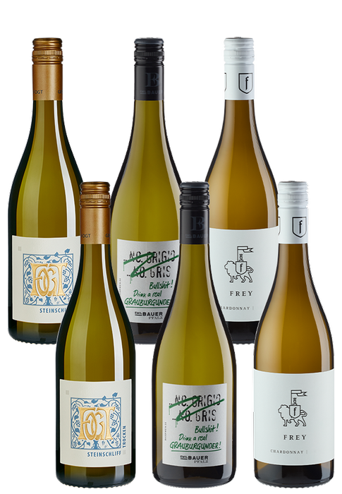 6er-Paket Spargel-Favoriten