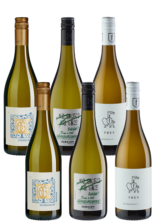 6er-Paket Spargel-Favoriten