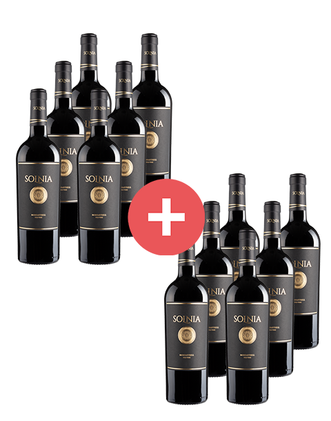 6+6-Paket Solnia Monastrell