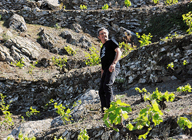 Celler de l'Encastell