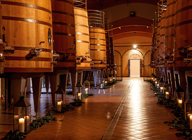 Bodega los Aljibes