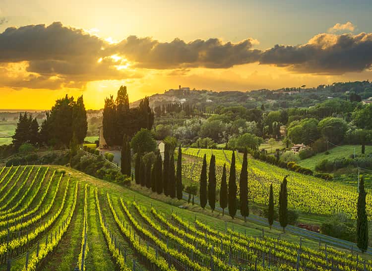 Cantina Tollo