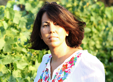 Bodegas y Viñedos Muñoz
