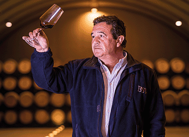 Bodegas San Valero
