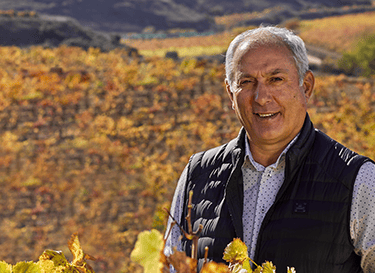 Luis Cañas