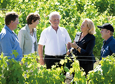 Allée Bleue Wines