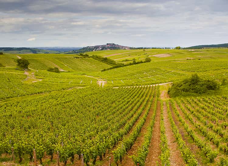 Domaine Beauséjour