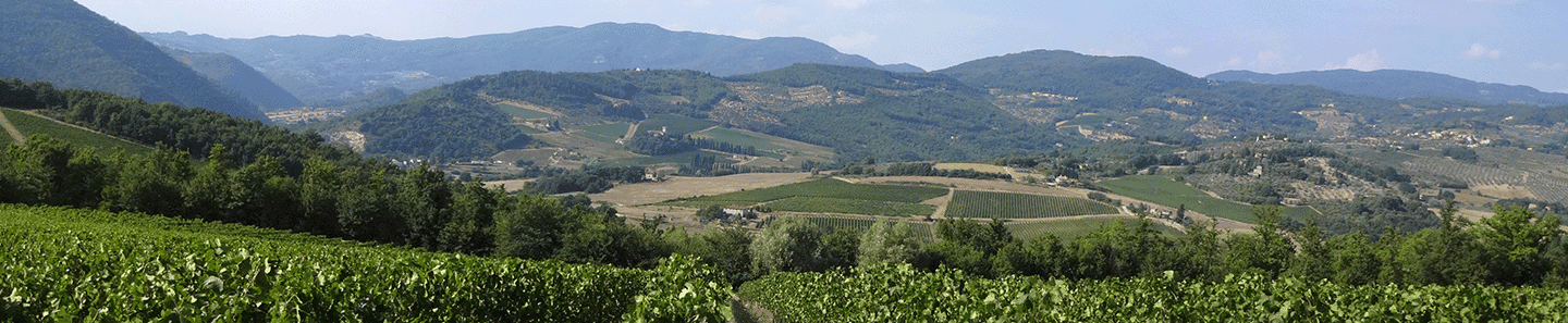 Marchesi Frescobaldi Srl