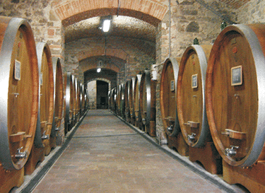 Fattoria Grignano