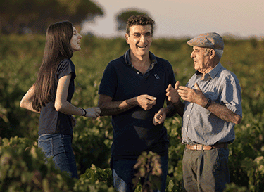 Bodegas Volver