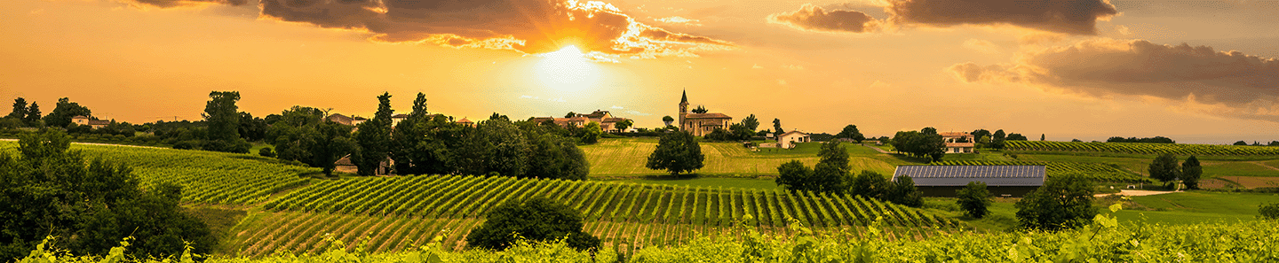 Compagnie des Grands Vins de Champagne