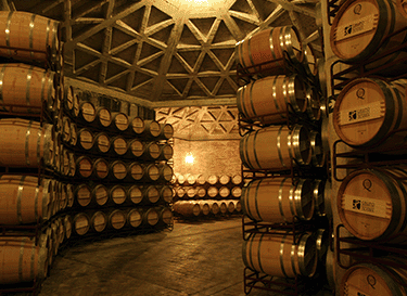 Bodegas Olarra