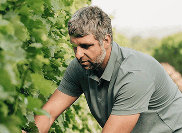 Les Vignobles Foncalieu