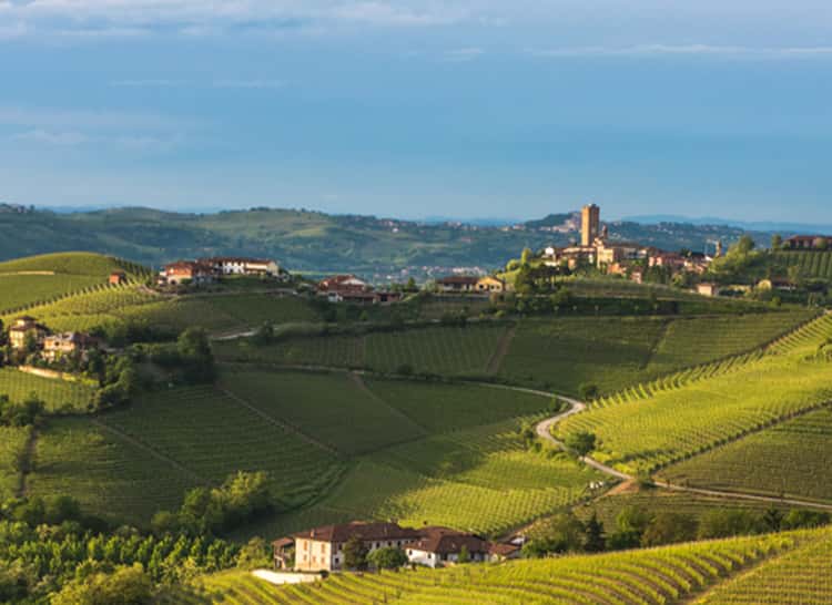 Cascina Radice