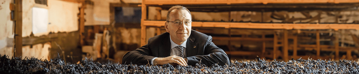 Cantina di Negrar