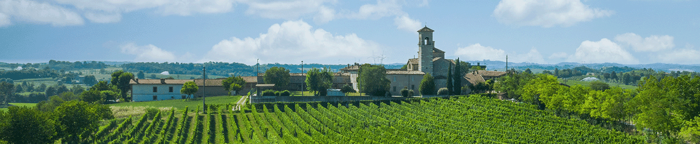 Cantina Delibori